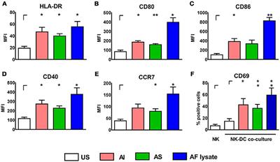 First Insights in NK—DC Cross-Talk and the Importance of Soluble Factors During Infection With Aspergillus fumigatus